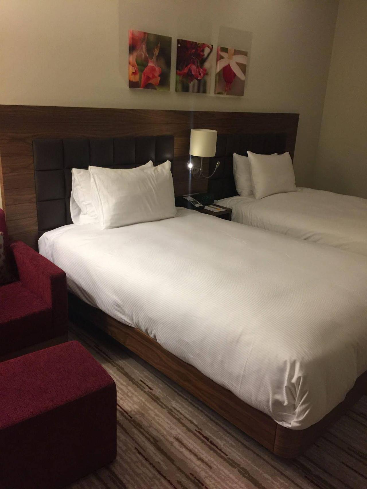 Hilton Garden Inn אסקיסהיר מראה חיצוני תמונה